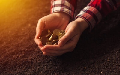 EQUESTRIAN AND LIVERY BUSINESSES CAN SAVE ON IHT