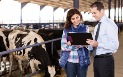 HOW WILL NEW AGRICULTURAL BILL RE-SHAPE CHESHIRE’S FARMING COMMUNITY?